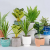 2024 New Design Ceramic Pot Animal Flower Vase Pot Ceramic Decoration