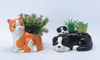Cat Element Flowerpot