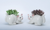 Cat Element Flowerpot