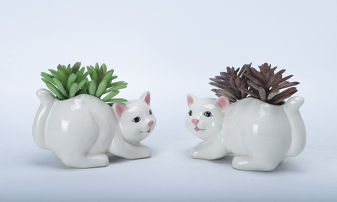 Cat Element Flowerpot