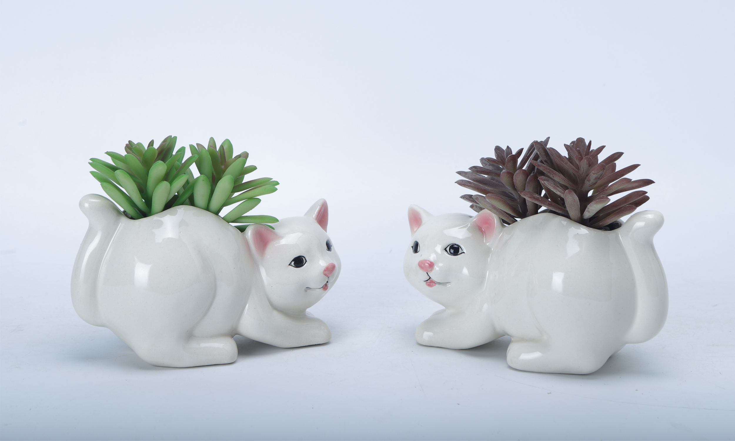 Cat Element Flowerpot