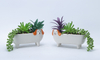 Square Flowerpot with Animal Elements
