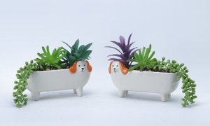 Square Flowerpot with Animal Elements