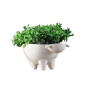 Little Sheep Flowerpot