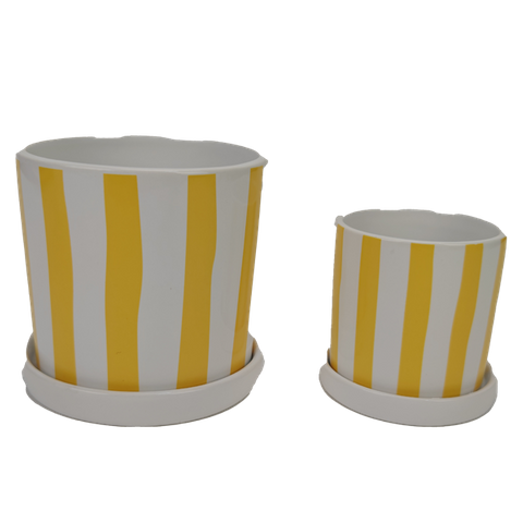 Colorful Flowerpot