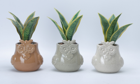 Round Animal Element Flowerpot