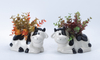 Cat Element Flowerpot