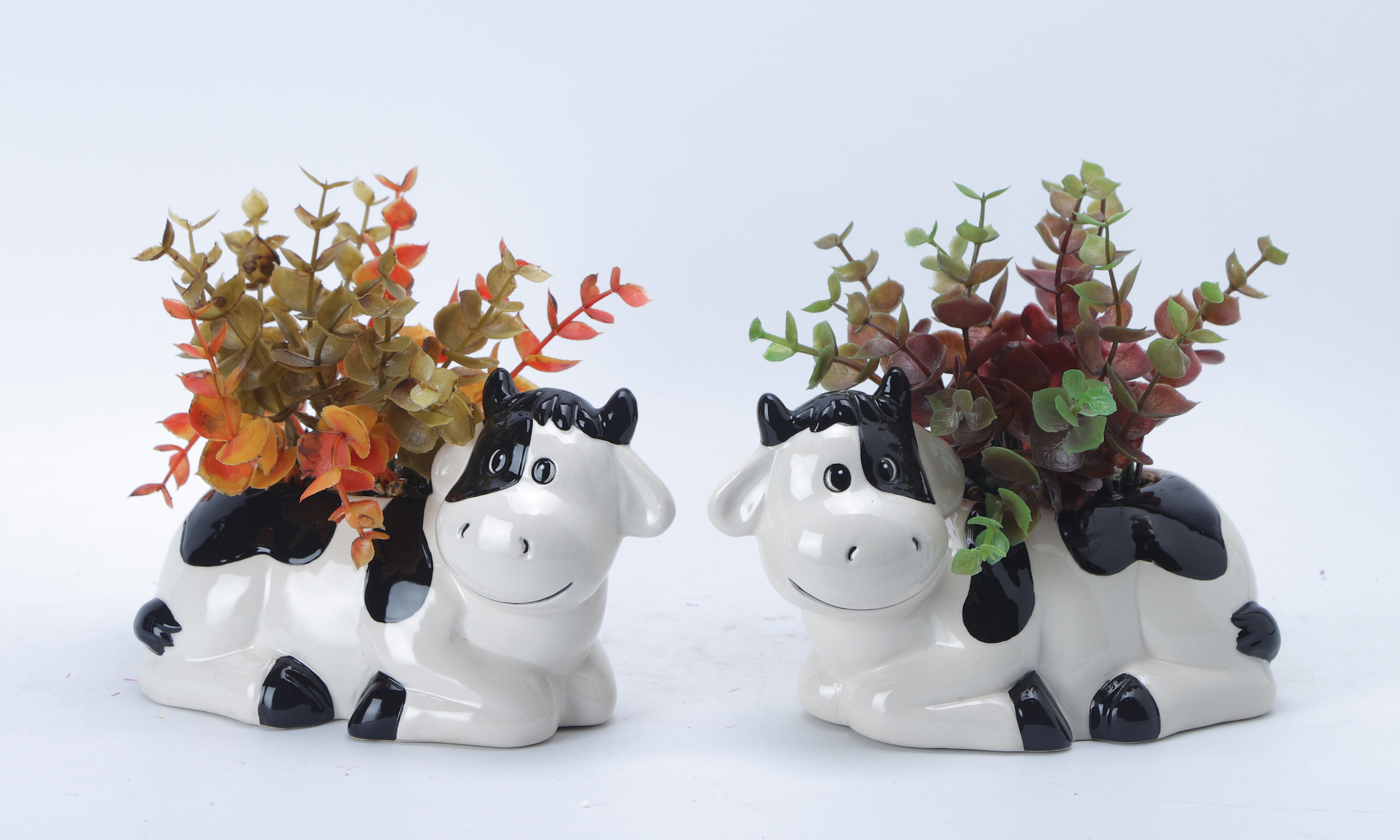 Cat Element Flowerpot