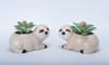 Raccoon Flowerpot