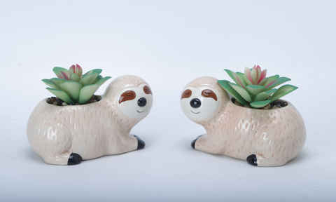 Raccoon Flowerpot