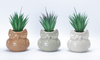 Round Animal Element Flowerpot