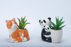 Animal Element Flowerpot