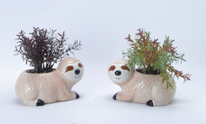 Raccoon Flowerpot