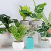 2024 New Design Ceramic Pot Animal Flower Vase Pot Ceramic Decoration