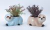 Raccoon Flowerpot