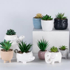2024 New Design Ceramic Pot Animal Flower Vase Pot Ceramic Decoration