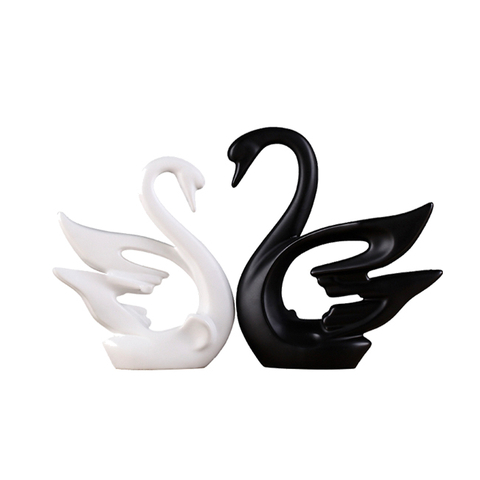 Black and white swan