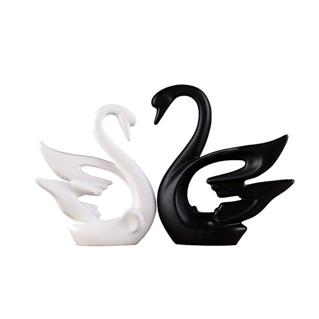 Black and white swan