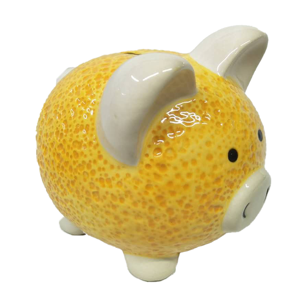 Fruit Series Piggy Bank