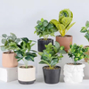 2024 New Design Ceramic Pot Animal Flower Vase Pot Ceramic Decoration