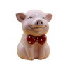 Crafted with smooth porcelain and a cute pig design money box